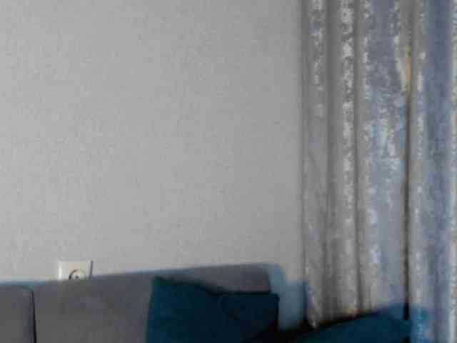 Lex1-Lee webcam