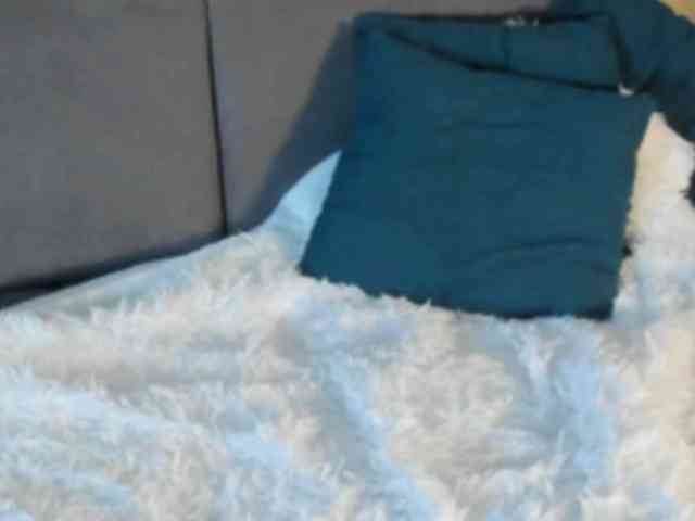 Lex1-Lee webcam