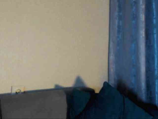 Lex1-Lee webcam