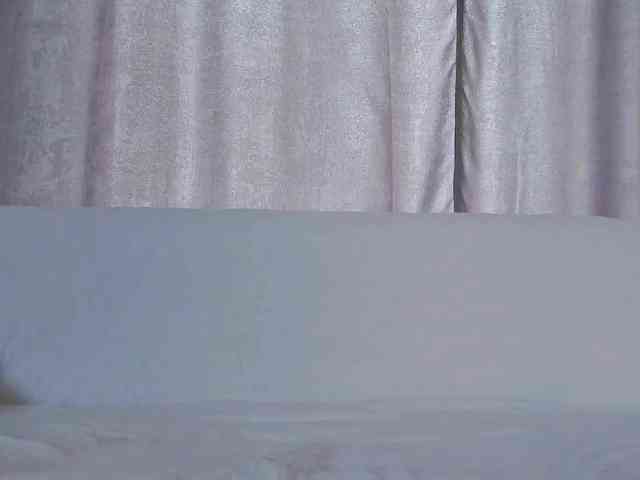 Lex1-Lee webcam