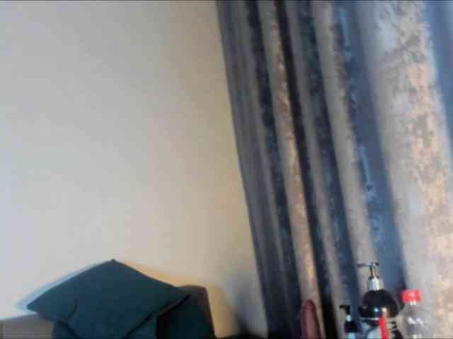 Lex1-Lee webcam