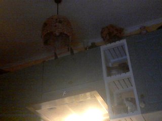 blue_Flame Porn Show