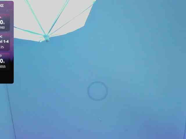 Ariadna-sc webcam