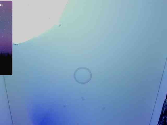 Ariadna-sc webcam