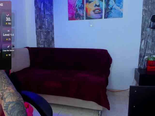 Ariadna-sc webcam