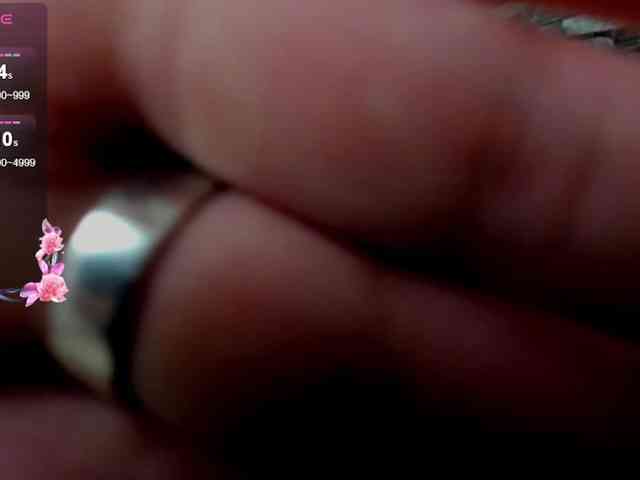 Ariadna-sc webcam