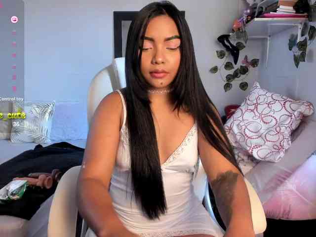 katteLambert webcam