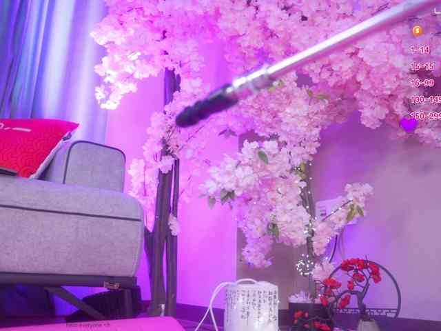 Marry-Cordy webcam