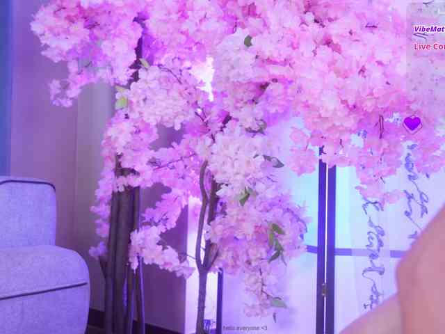 Marry-Cordy webcam