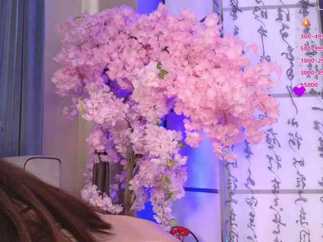 Marry-Cordy webcam