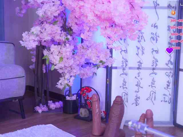 Marry-Cordy webcam