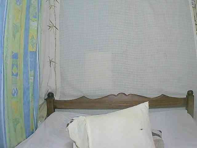 Vicky20a webcam