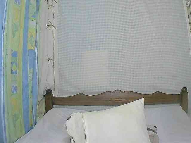 Vicky20a webcam
