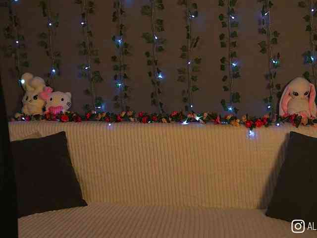 AliceCost webcam