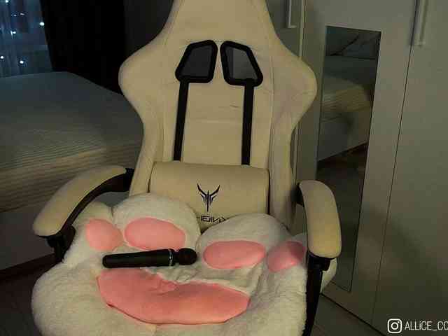 AliceCost webcam