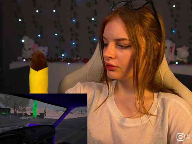 AliceCost webcam