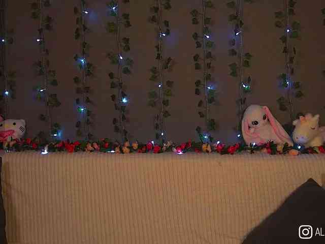 AliceCost webcam