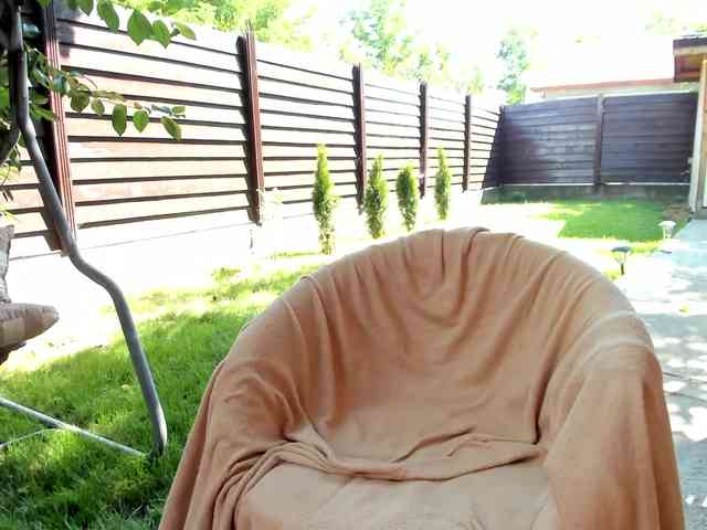 maddybloomx webcam