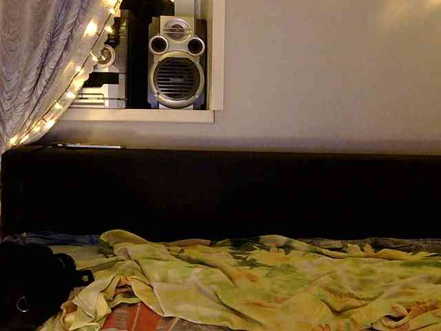Serseia webcam
