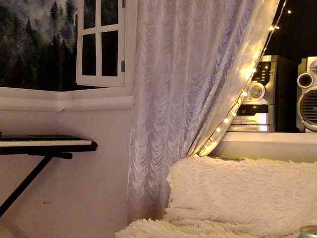 Serseia webcam
