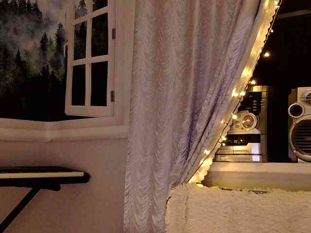 Serseia webcam