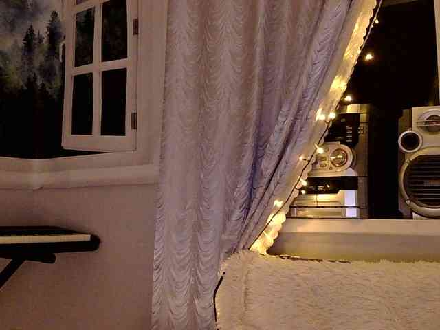 Serseia webcam