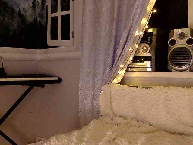 Serseia webcam