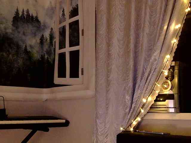 Serseia webcam