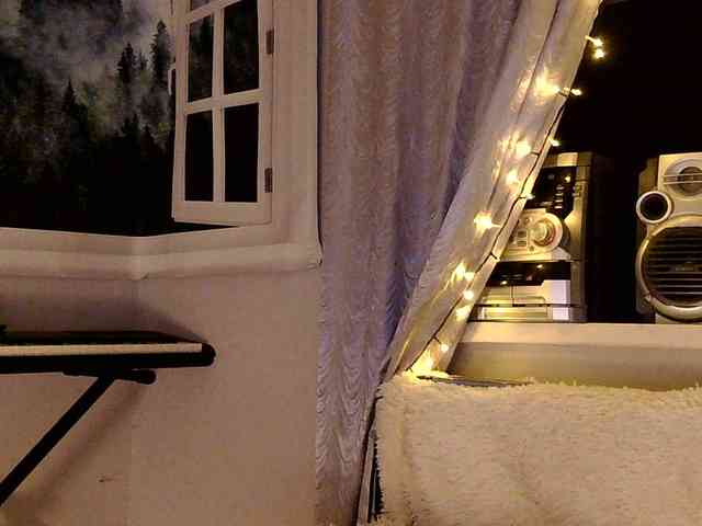 Serseia webcam