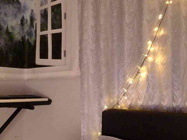 Serseia webcam