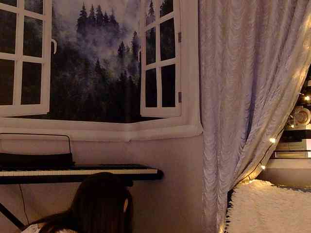 Serseia webcam