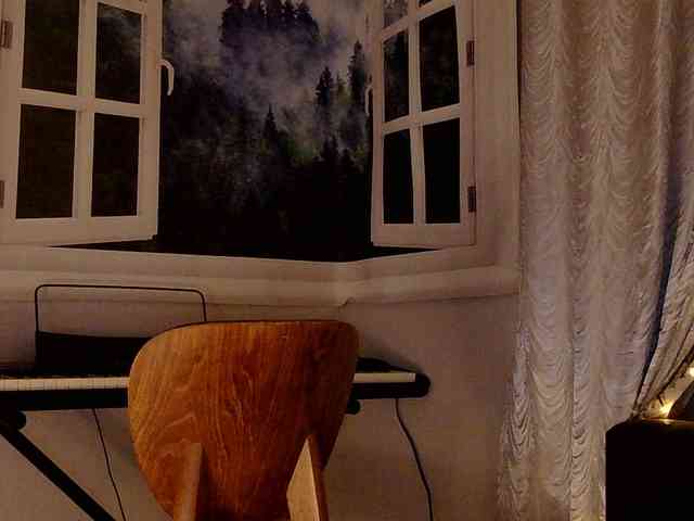 Serseia webcam