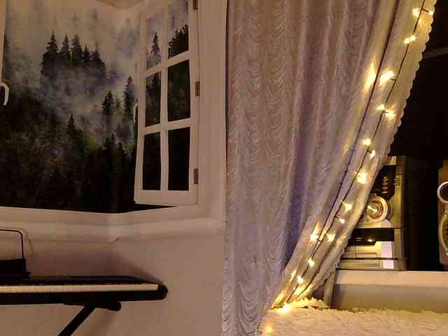Serseia webcam