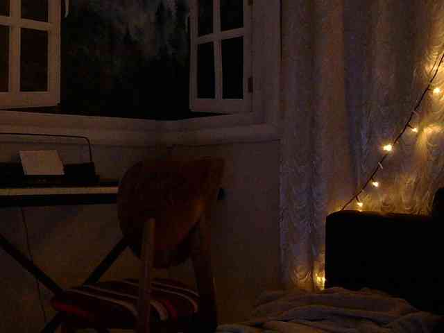 Serseia webcam