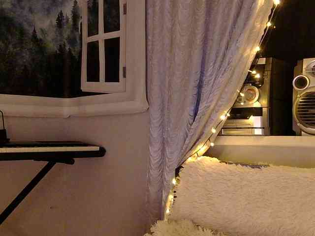 Serseia webcam