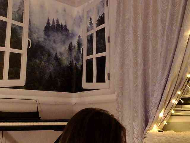 Serseia webcam