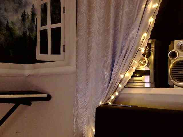 Serseia webcam