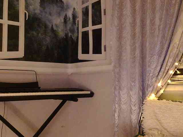 Serseia webcam
