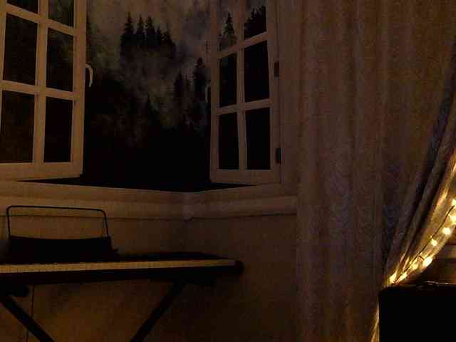 Serseia webcam