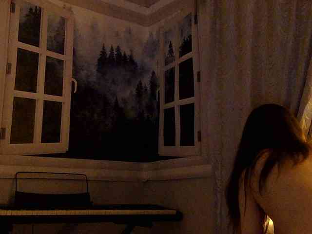 Serseia webcam