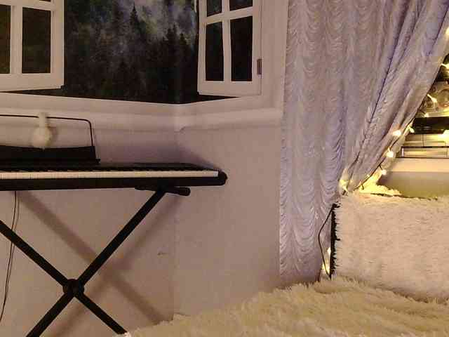 Serseia webcam