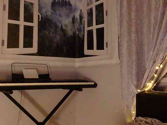 Serseia webcam