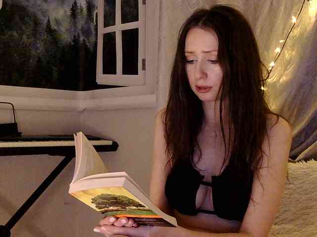 Serseia webcam