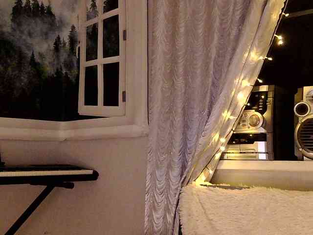 Serseia webcam