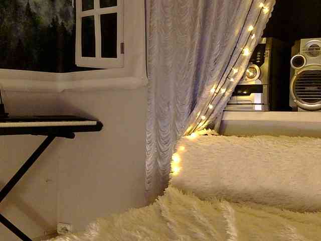 Serseia webcam