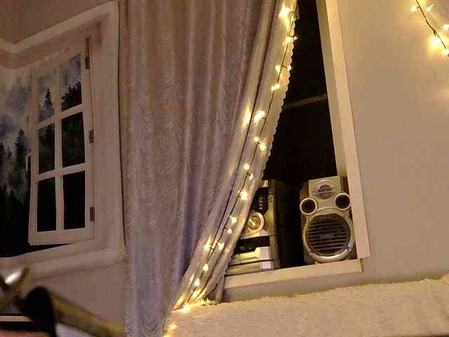Serseia webcam