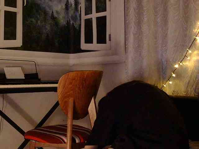 Serseia webcam