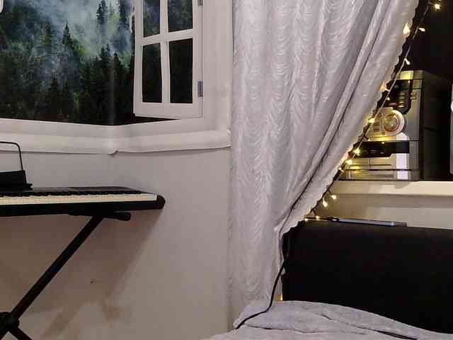 Serseia webcam