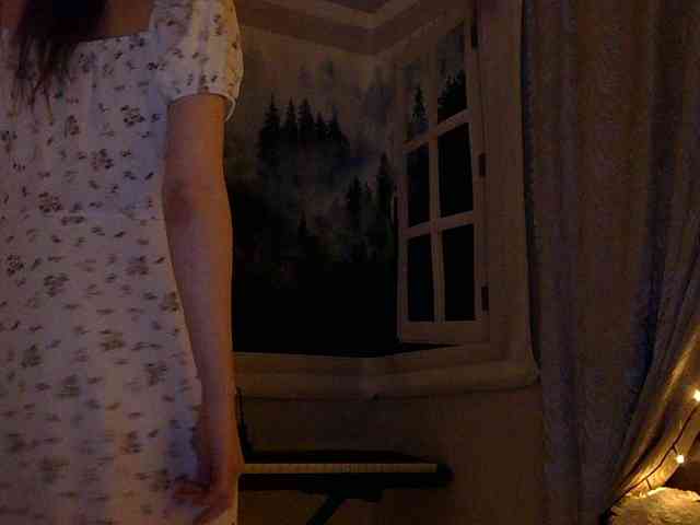 Serseia webcam