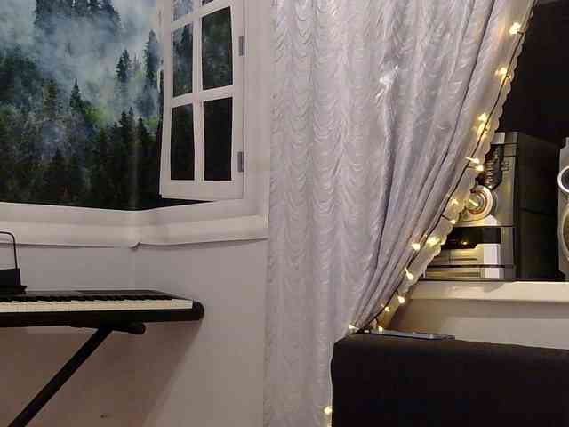 Serseia webcam